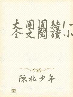 大团圆结1一6全文阅读小说