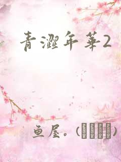 青涩年华2