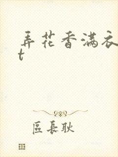 弄花香满衣txt