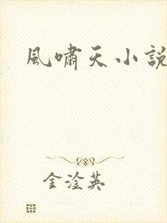 风啸天小说