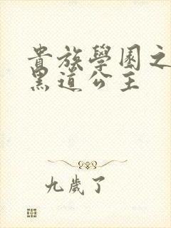 贵族学园之我的黑道公主