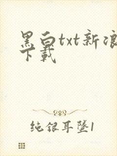 黑白txt新浪下载