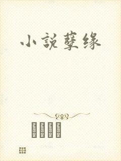 小说孽缘