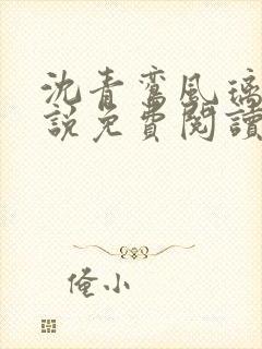 沈青鸾风璃宸小说免费阅读