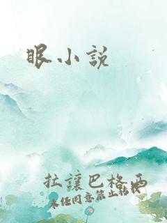 眼小说