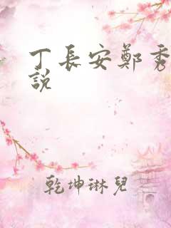 丁长安郑秀兰小说