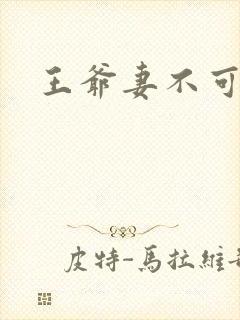 王爷妻不可欺