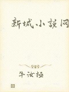 新城小说网