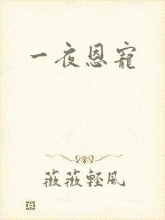 一夜恩宠