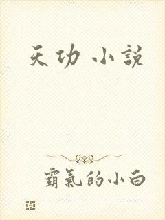 天功 小说