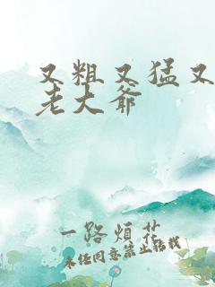 又粗又猛又大爽老大爷