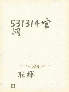 531314官网