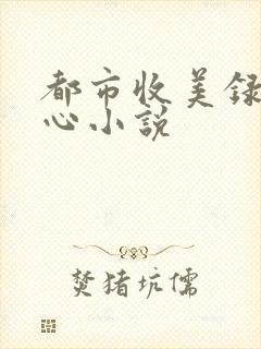 都市收美录宁素心小说