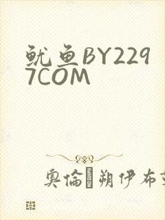 鱿鱼BY2297COM