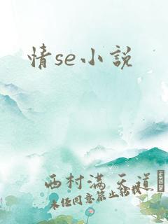 情se小说