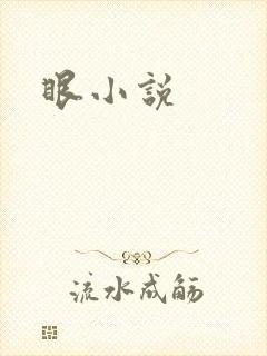 眼小说