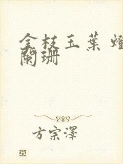 金枝玉叶 灯火阑珊