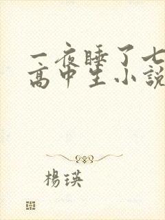 一夜睡了七个女高中生小说h