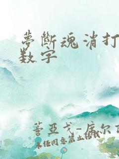 梦断魂消打三个数字