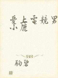 爱上电竞男神林小鹿