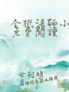 全职法师小说 免费阅读