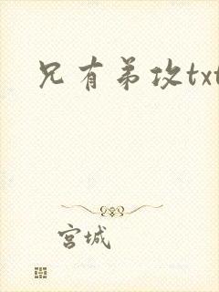兄有弟攻txt