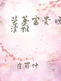 荣华富贵 晚歌清雅