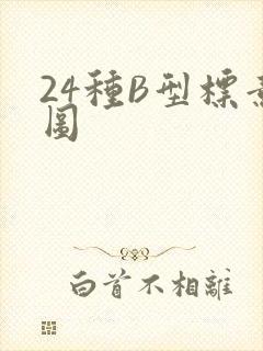 24种B型标意图