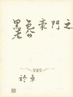 黑色豪门之王子老公