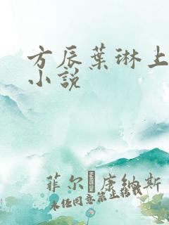 方辰叶琳上官步小说