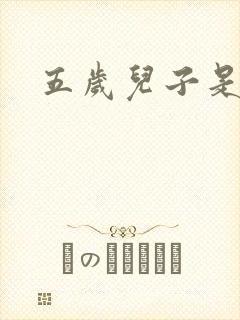 五岁儿子是相公