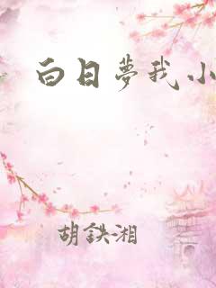 白日梦我小说