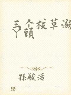 三个校草溺爱拽丫头