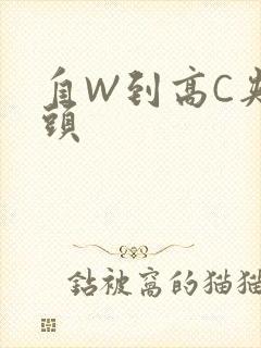 自W到高C夹枕头