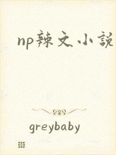 np辣文小说