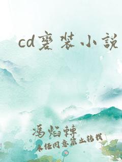 cd变装小说