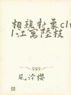 相亲对象c1v1江寓陆枝