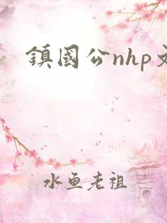 镇国公nhp文