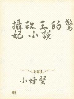 摄政王的惊世嫡妃 小说