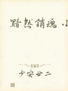 黯然销魂 小说