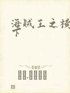 海贼王之横行天下