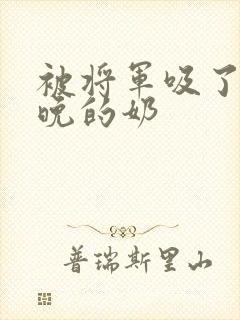 被将军吸了一整晚的奶