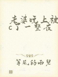 老婆晚上被躁狂c了一整夜