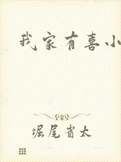 我家有喜小说