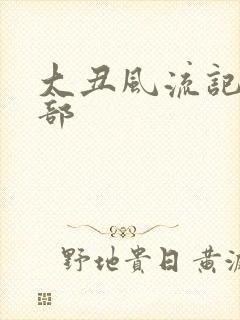 大丑风流记第二部