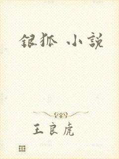 银狐 小说