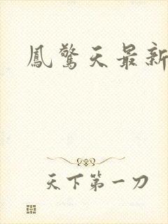 凤惊天最新章节