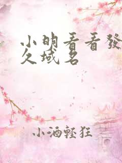 小明看看发布永久域名