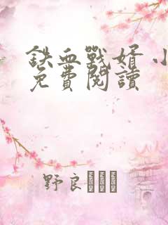 铁血战婿 小说免费阅读