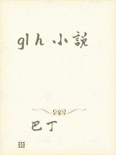gl h 小说